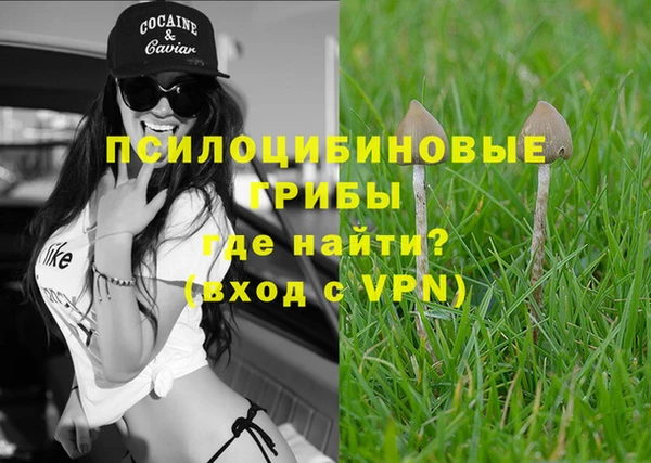 стафф Зерноград